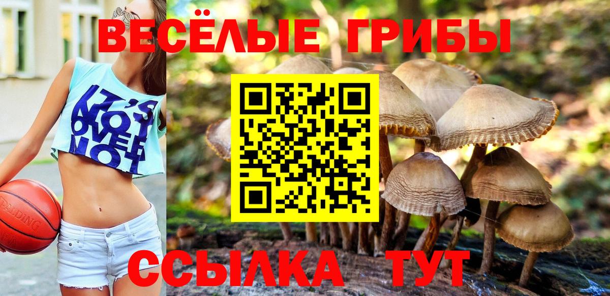 Галлюциногенные грибы MAGIC MUSHROOMS Выкса